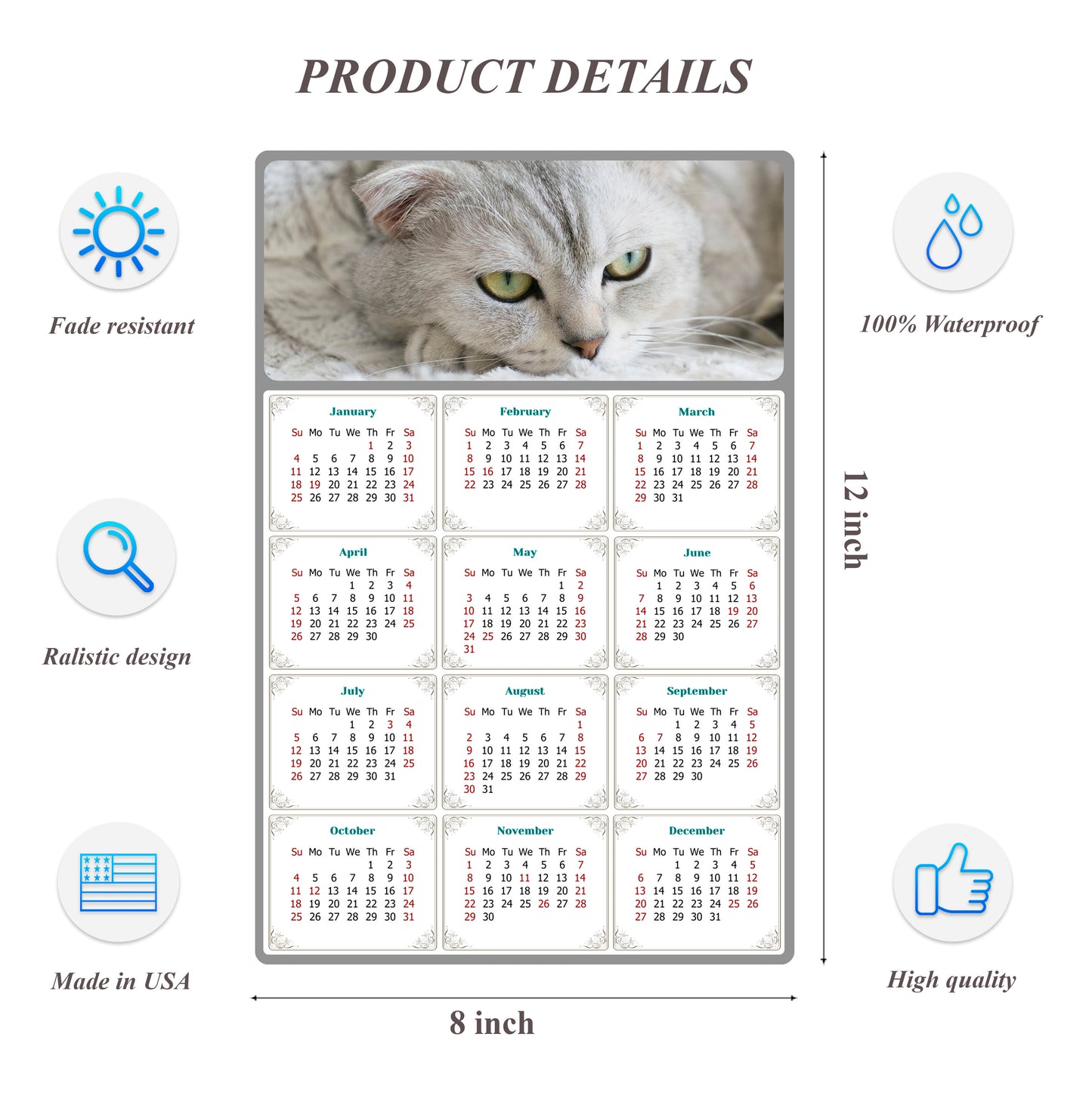 2026 Peel & Stick Calendar - Today is my Lucky Day Removable - Cat 01 (12"x 8")