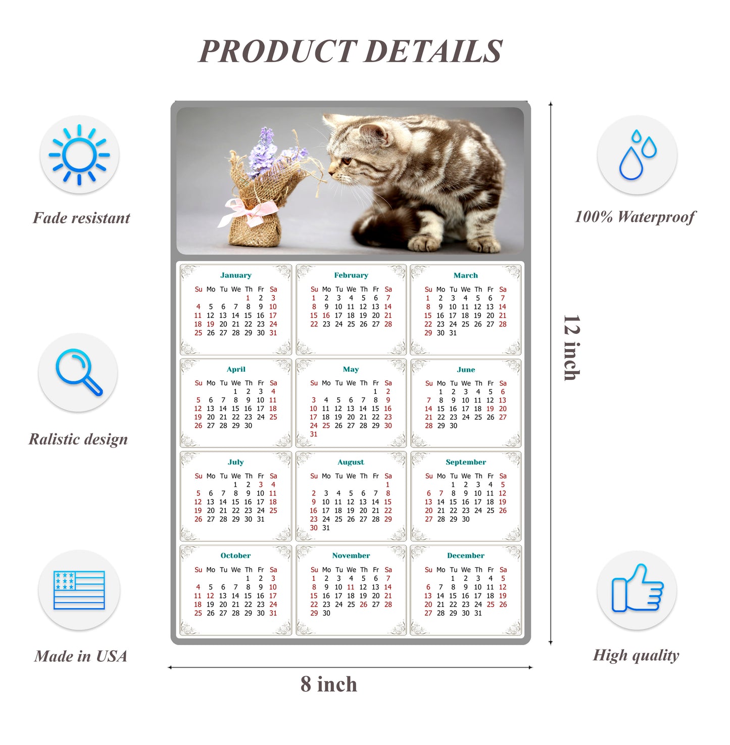 2026 Peel & Stick Calendar - Today is my Lucky Day Removable - Cat 025 (12"x 8")