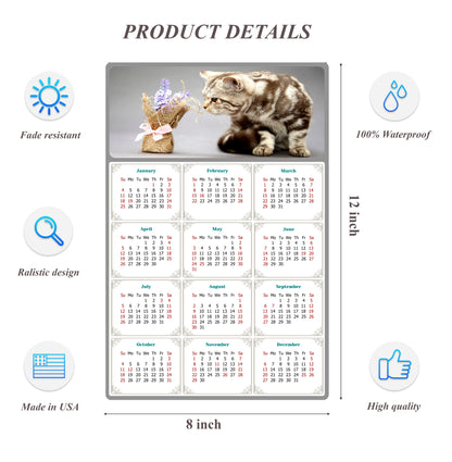 2026 Peel & Stick Calendar - Today is my Lucky Day Removable - Cat 025 (12"x 8")