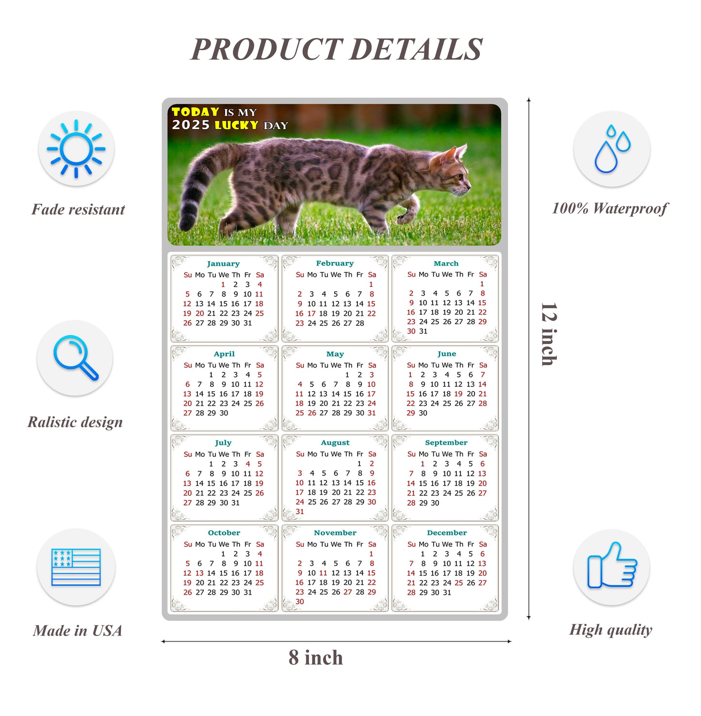 2025 Peel & Stick Calendar - Today is my Lucky Day Removable - Cat 09 (12"x 8")