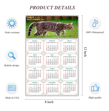 2025 Peel & Stick Calendar - Today is my Lucky Day Removable - Cat 09 (12"x 8")