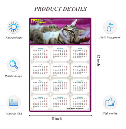 2027 Peel & Stick Calendar - Today is my Lucky Day Removable - Cat 08 (12"x 8")