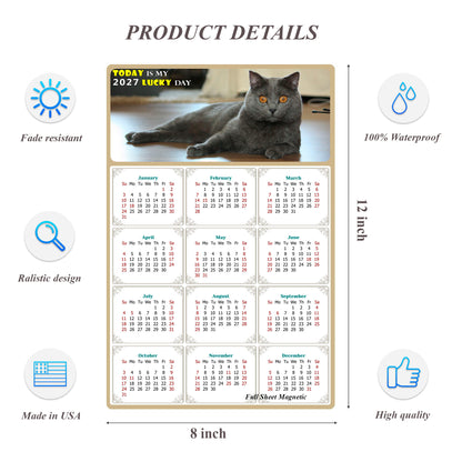2027 Peel & Stick Calendar - Today is my Lucky Day Removable - Cat 014 (12"x 8")