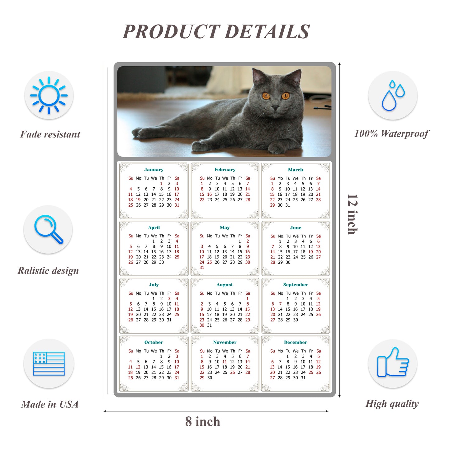 2026 Peel & Stick Calendar - Today is my Lucky Day Removable - Cat 014 (12"x 8")