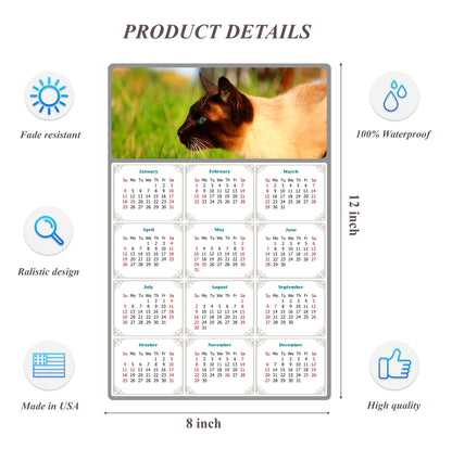 2026 Peel & Stick Calendar - Today is my Lucky Day Removable - Cat 03 (12"x 8")