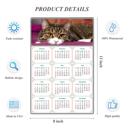 2026 Peel & Stick Calendar - Today is my Lucky Day Removable - Cat 022 (12"x 8")