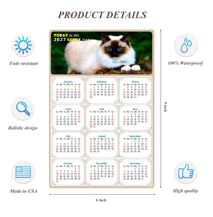2027 Peel & Stick Calendar - Today is my Lucky Day Removable - Cat 02 (9"x 6")
