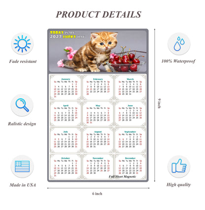 2027 Peel & Stick Calendar - Today is my Lucky Day Removable - Cat 016 (9"x 6")