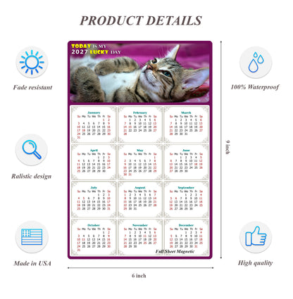 2027 Peel & Stick Calendar - Today is my Lucky Day Removable - Cat 08 (9"x 6")