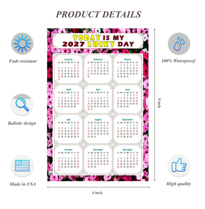 2027 Peel & Stick Calendar - Today is my Lucky Day Removable - 027