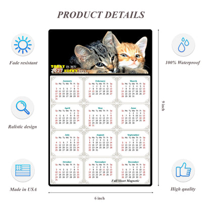 2027 Peel & Stick Calendar - Today is my Lucky Day Removable - Cat 010 (9"x 6")