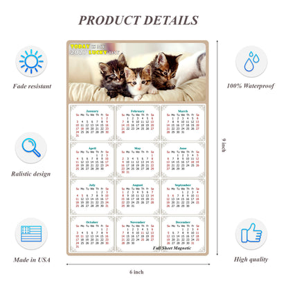 2027 Peel & Stick Calendar - Today is my Lucky Day Removable - Cat 021 (9"x 6")