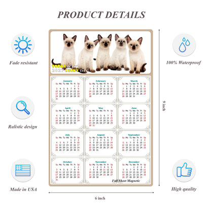 2027 Peel & Stick Calendar - Today is my Lucky Day Removable - Cat 020 (9"x 6")