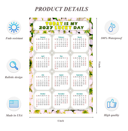 2027 Peel & Stick Calendar - Today is my Lucky Day Removable - 029