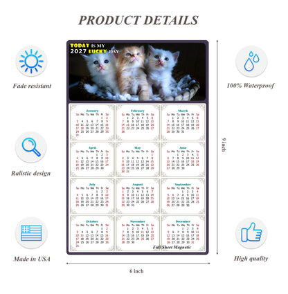 2027 Peel & Stick Calendar - Today is my Lucky Day Removable - Cat 011 (9"x 6")