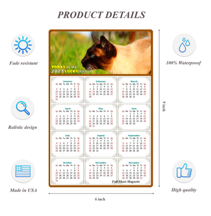 2027 Peel & Stick Calendar - Today is my Lucky Day Removable - Cat 03 (9"x 6")