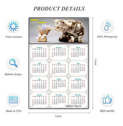 2027 Peel & Stick Calendar - Today is my Lucky Day Removable - Cat 025 (9"x 6")