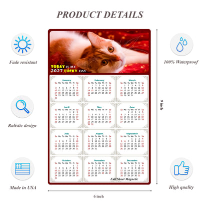 2027 Peel & Stick Calendar - Today is my Lucky Day Removable - Cat 07 (9"x 6")
