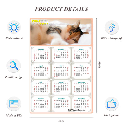 2027 Peel & Stick Calendar - Today is my Lucky Day Removable - Cat 04 (9"x 6")