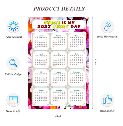 2027 Peel & Stick Calendar - Today is my Lucky Day Removable - 032