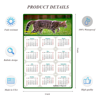 2027 Peel & Stick Calendar - Today is my Lucky Day Removable - Cat 09 (9"x 6")