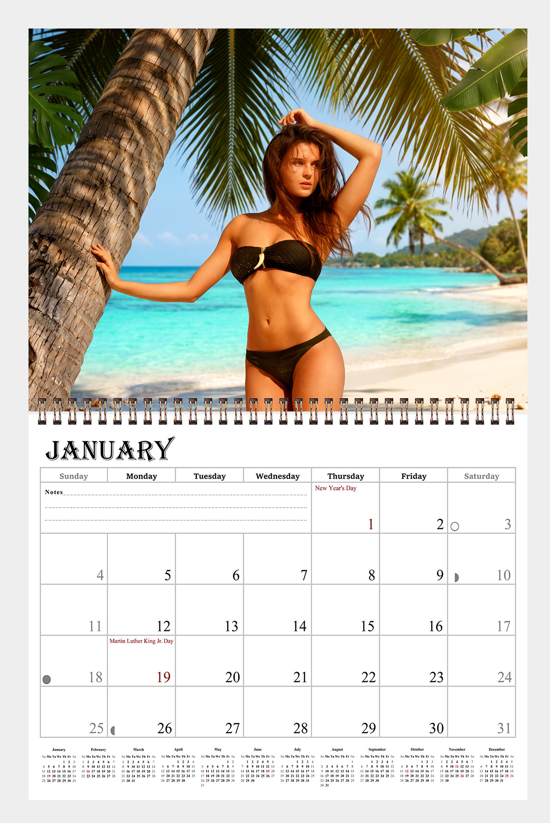 2027 Wall Calendar Beach Babes Bikini Women Models - 12 Months Desktop (11x17)