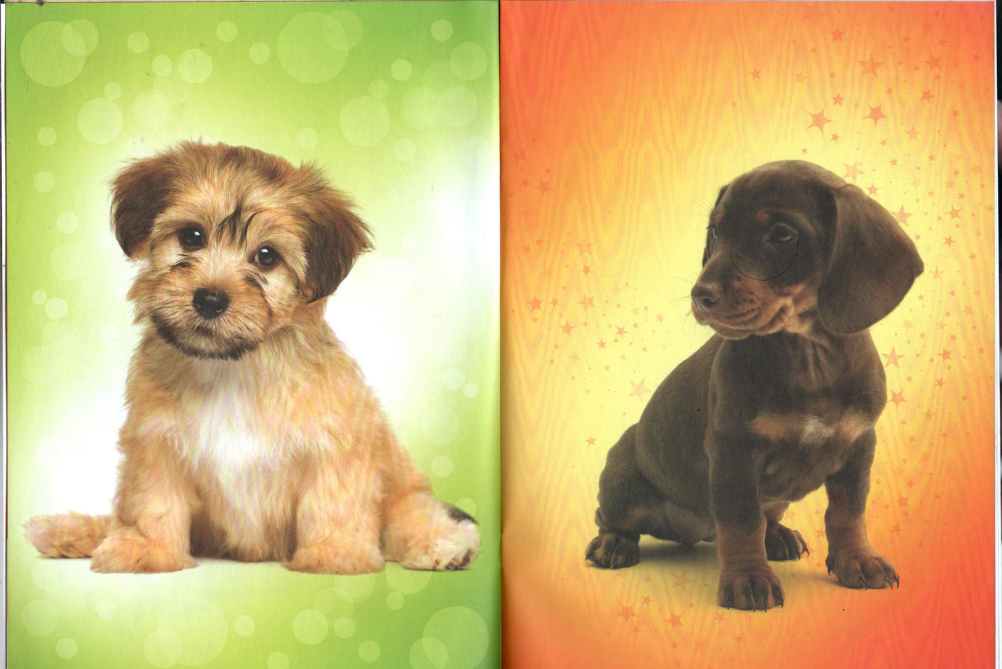Bling Babies Puppies and Kittens - Sticker Included - Activity Book (Set of 2)