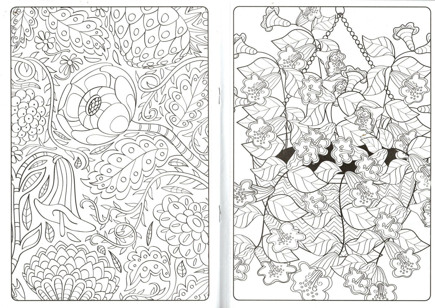 Coloring Books for Adults - Butterflies & Color America (Set of 2 Books)