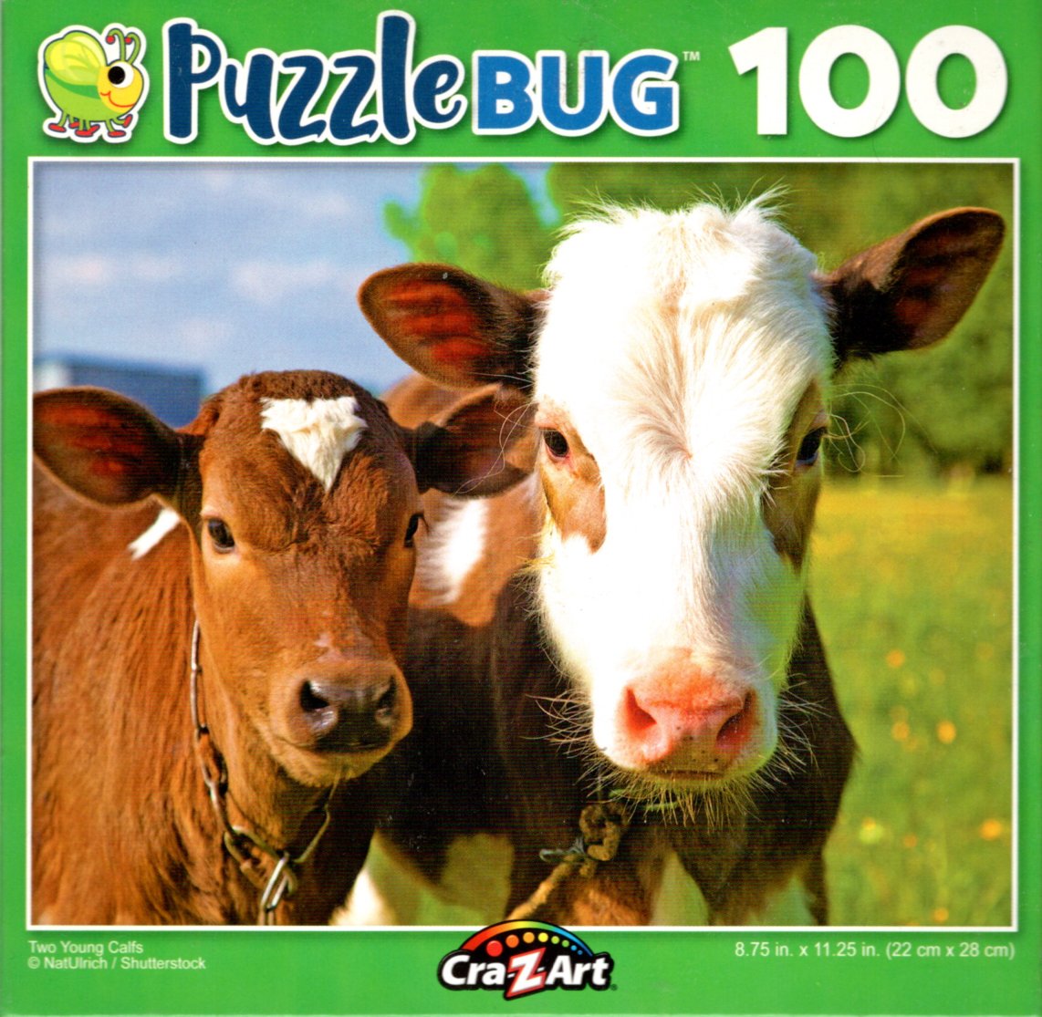 Happy Dolphin - 100 Piece Jigsaw Puzzle