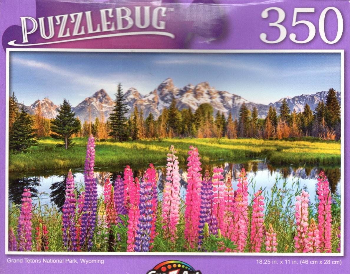 Grand Tetons National Park, Wyoming - 350 Pieces Jigsaw Puzzle
