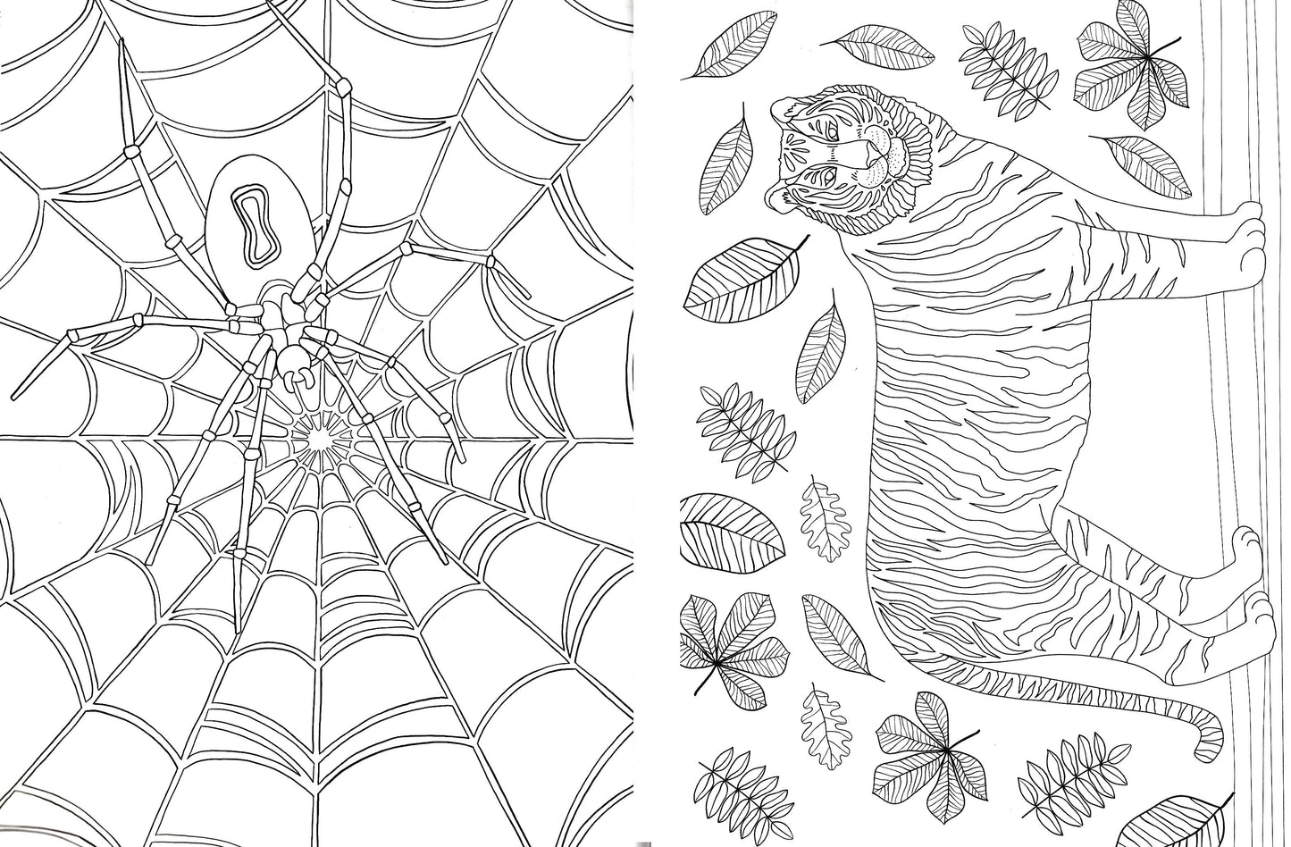 Amazing Animals - Mindful Coloring - Coloring & Activity Book