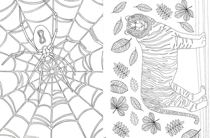 Amazing Animals - Mindful Coloring - Coloring & Activity Book