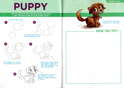 Beginner iDraw - Learn to Draw - Fantasy & Pets - Children Book