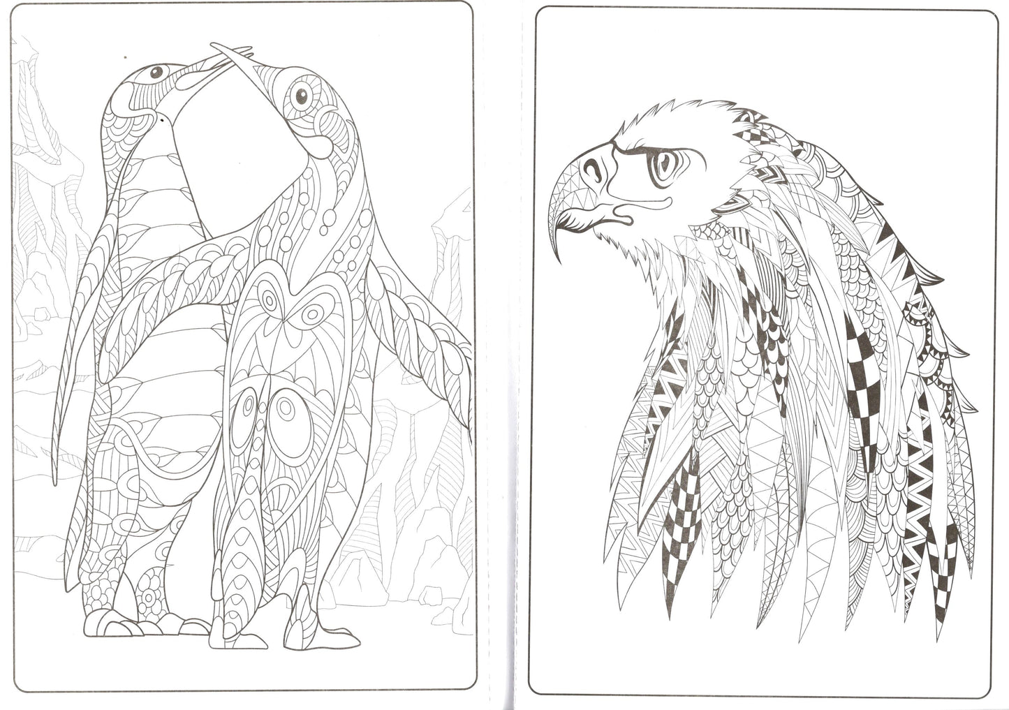 Designer Series - Birds - Adult Coloring Book