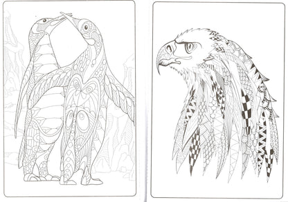 Designer Series - Birds - Adult Coloring Book