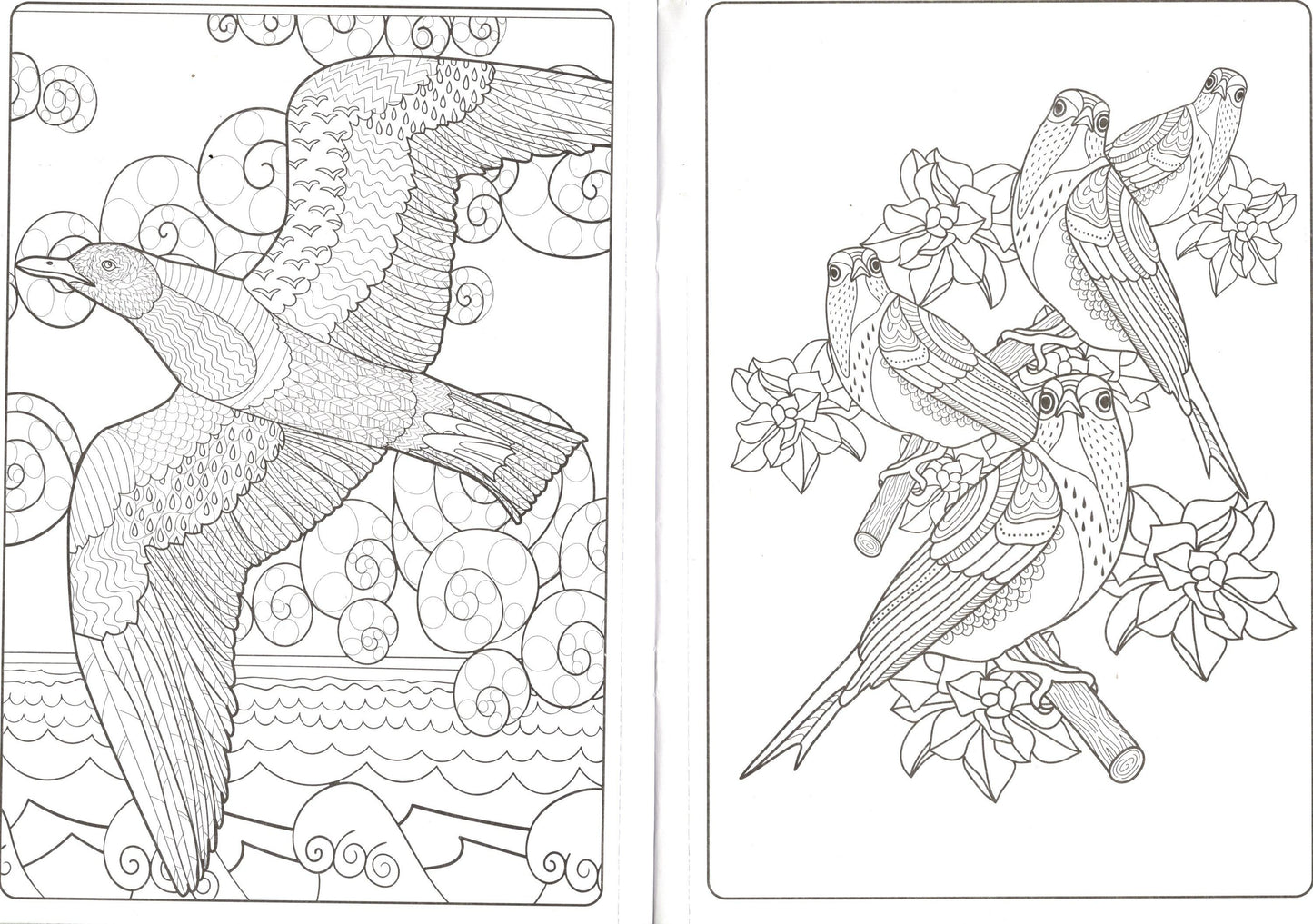 Designer Series - Birds - Adult Coloring Book
