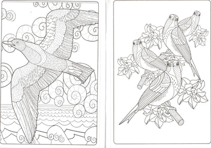 Designer Series - Birds - Adult Coloring Book