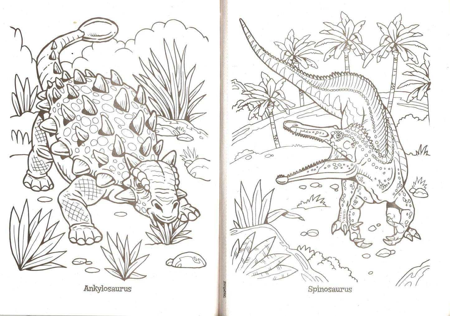 Dreamtivity - Dino Clash! - Coloring Book