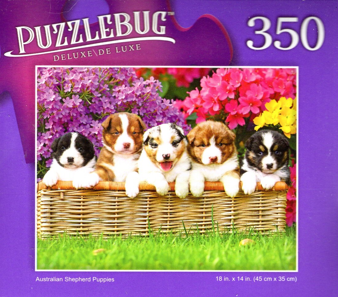 Australian Shepherd Puppies - 350 Pieces Deluxe Jigsaw Puzzle