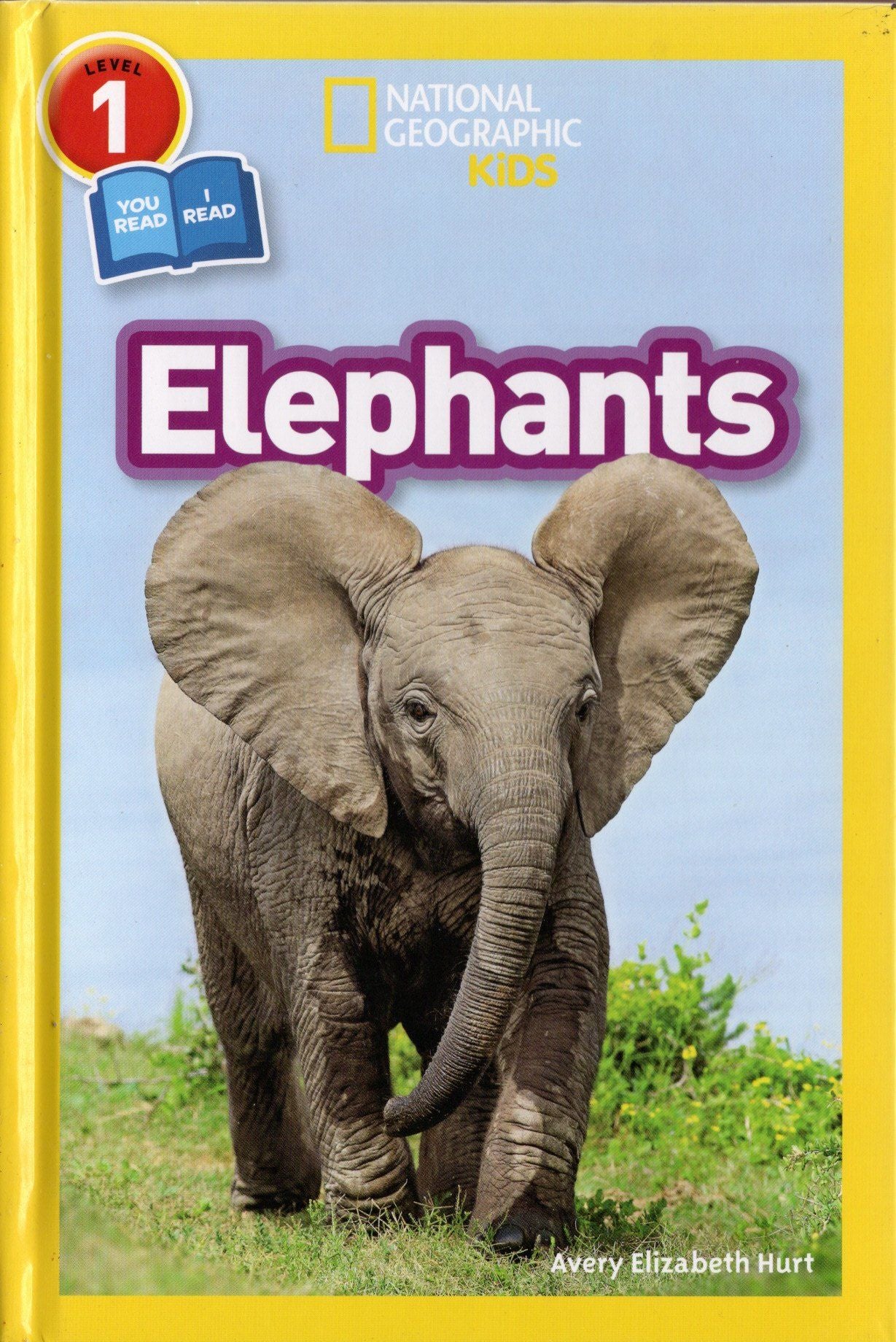 National Geographic Kids Elephants Level 1 Reader Avery Hurt. Hardcover