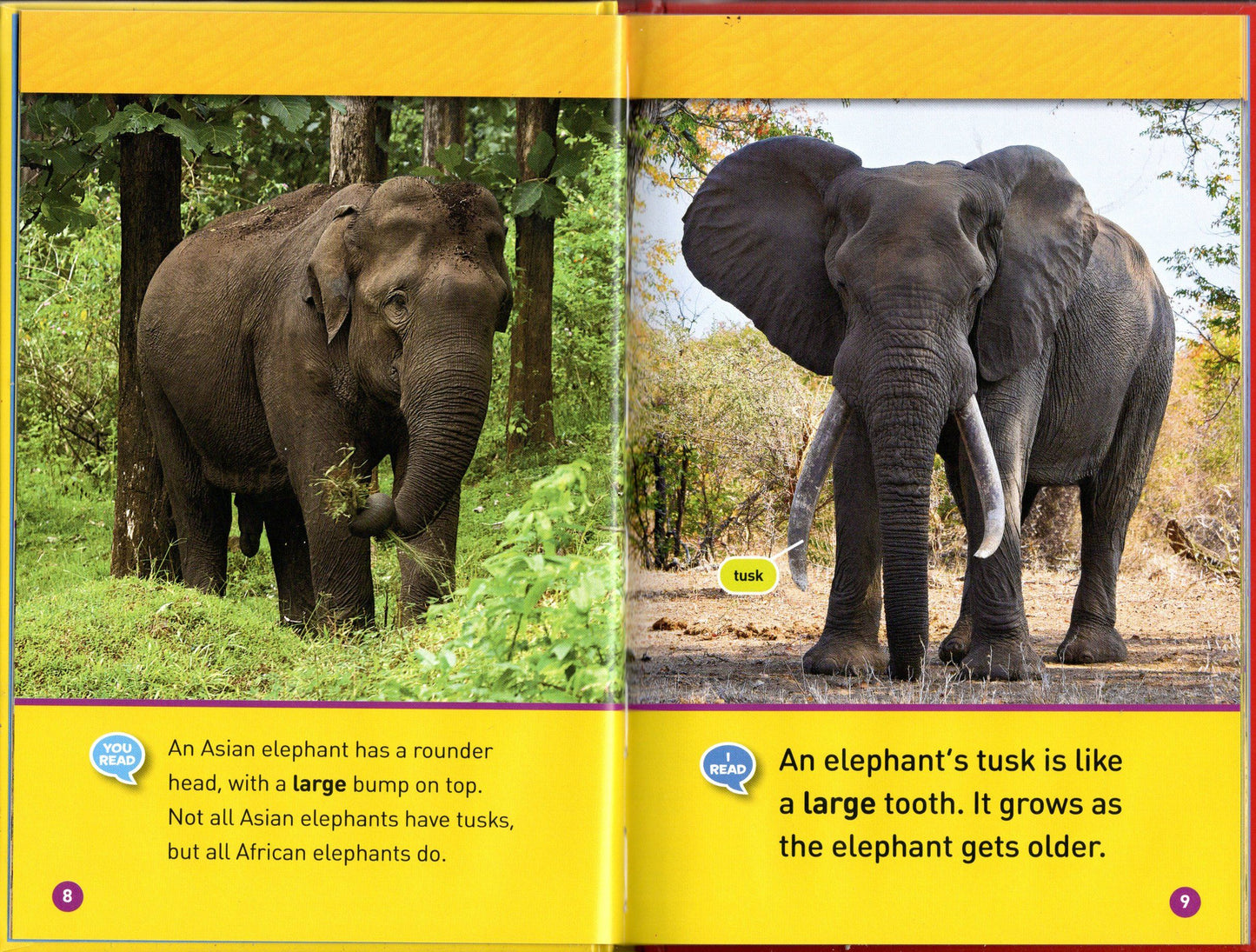 National Geographic Kids Elephants Level 1 Reader Avery Hurt. Hardcover