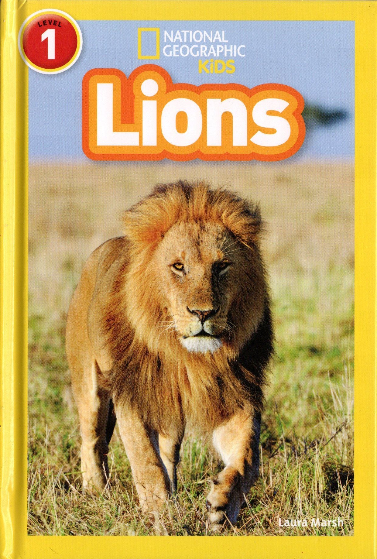 National Geographic Kids Lions Level 1 Reader Laura Marsh (Hardcover)