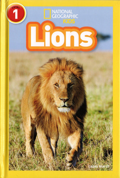 National Geographic Kids Lions Level 1 Reader Laura Marsh (Hardcover)