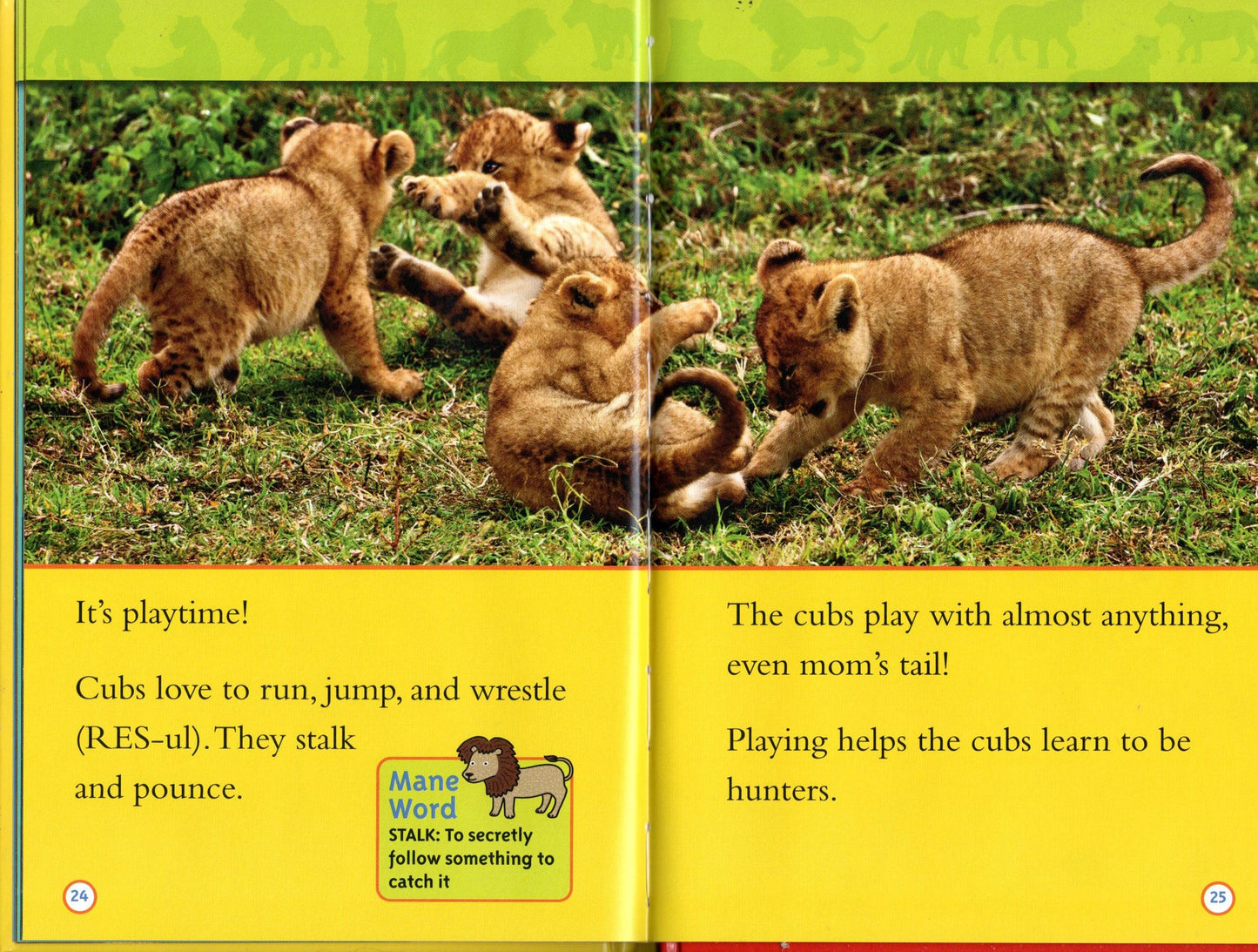 National Geographic Kids Lions Level 1 Reader Laura Marsh (Hardcover)