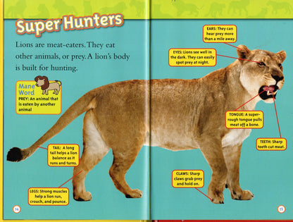 National Geographic Kids Lions Level 1 Reader Laura Marsh (Hardcover)