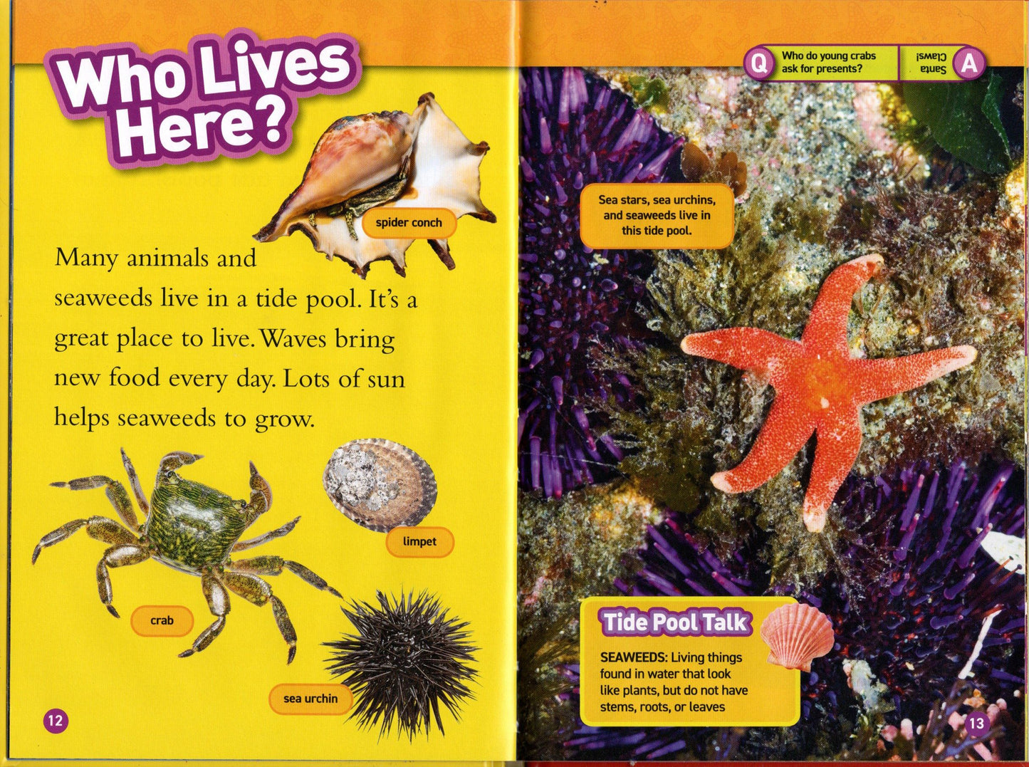 Share National Geographic Kids Readers, Level 1 - Tide Pools (Hardcover)