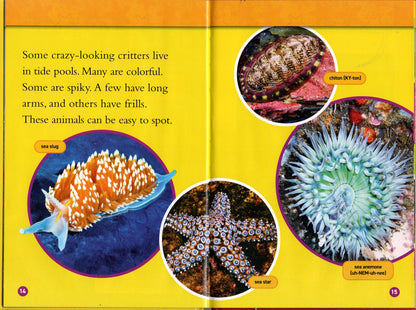 Share National Geographic Kids Readers, Level 1 - Tide Pools (Hardcover)