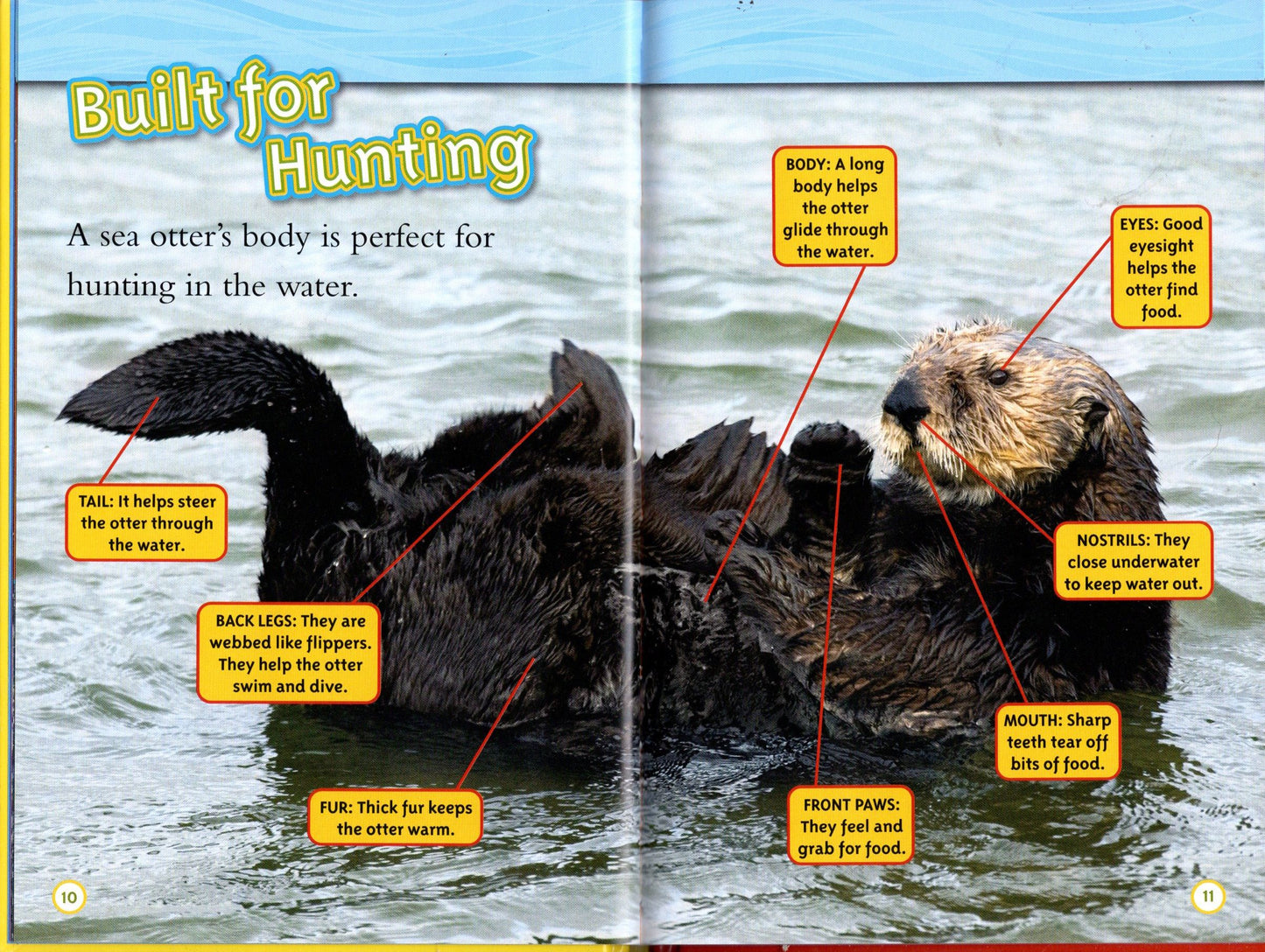 National Geographic Kids, Level 1 - Sea Otters, Lions, Tide Pools. Elephant.