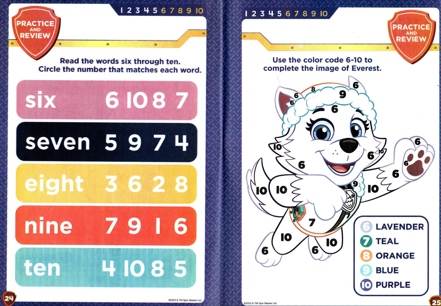 PAW Patrol Numbers & Counting Pre K-K Workbook Educational Learning Book