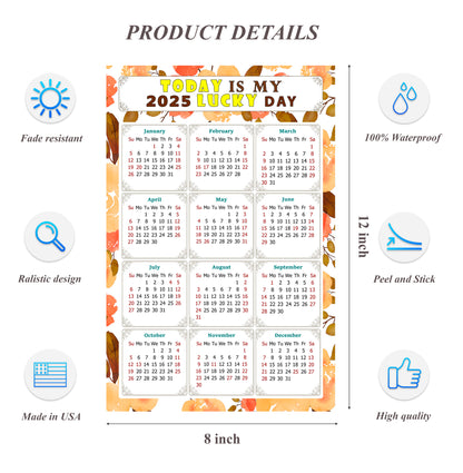2025 Peel & Stick Calendar - Today is my Lucky Day Removable - 022